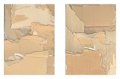 Worn &amp; Torn Cardboard Texture Vol. 1 Product Image 5