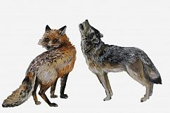 Woodland Animals Hand painted Clip Art Set Product Image 4