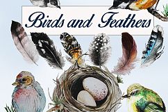 Birds And Feathers Hand Painted Watercolor Clip Art Set Product Image 3
