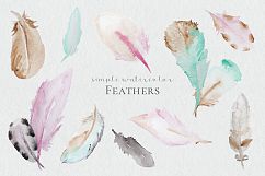 Watercolor Feathers Product Image 1