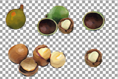 Nuts clip art pack, Watercolor nuts chart, food print Product Image 14