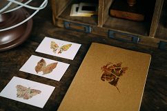 Vintage Butterfly Clip Art - with Old Paper Postcard Texture Distressed Grunge Brown Color Product Image 2