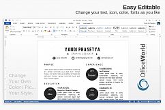 Baller Simple Resume / CV Product Image 4