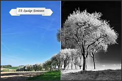 Infrared Monochrome Master Profiles LR7.3 ACR10.3 Product Image 10