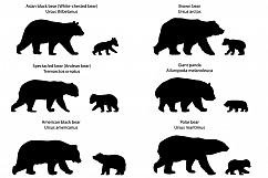 Silhouettes of bears and bear-cubs Product Image 1