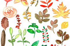 Autumn Watercolor Clipart. Fall Leaves and Flowers PNG. Product Image 2