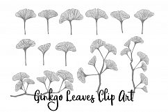 Ginkgo Leaves Clip Art, Vectors, PNGs and Digital Brushes Product Image 2