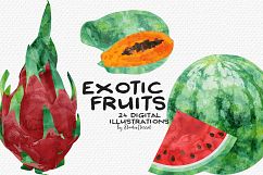 Exotic Fruits - Watercolor Illustrations Product Image 3