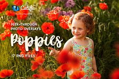 17 Poppie Flowers Photo Overlays Product Image 1