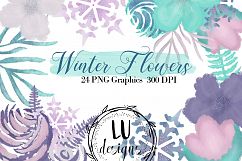 Winter Flowers Clipart, Watercolor Floral Winter Graphics Product Image 1