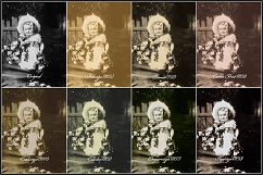 Historical Toning III Profiles LR 7.3 &amp; ACR 10.3 Product Image 3
