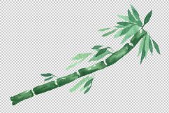 Exotic bamboo PNG watercolor set Product Image 7