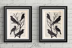 Shadow of the Wing Bird Silhouette Graphics Product Image 3