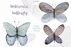 Spring watercolor butterfly Watercolor clipart illustration Product Image 5