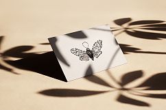 MOTH watercolor collection Product Image 10