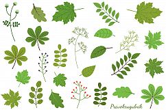 Green leaves clipart set, Spring foliage greenery Product Image 1