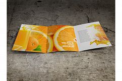 Large Trifold Brochure Mockup Product Image 5