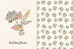 No Colors Flowers Product Image 5