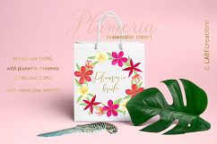 Plumeria Tropical watercolor flowers Product Image 3