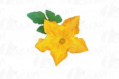 Watercolor pumpkin clip art pack, Pumpkin plant and flowers Product Image 10