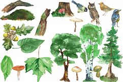Woodland Watercolor clip art Product Image 2