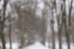Blurred winter park view  Product Image 1