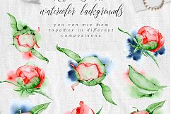 Watercolor peonies romantic floral clipart Product Image 2
