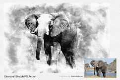 Charcoal Sketch Photoshop Action Product Image 19