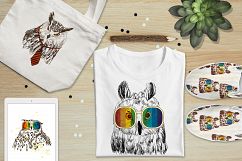 Fashion owls set Product Image 1