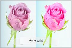 Incredible Flowers Profiles LR7.3 ACR10.3 Product Image 6