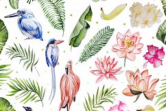 Hand Drawn Watercolor BUNDLE 4 Product Image 14