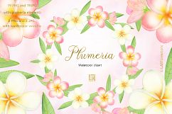 Plumeria Tropical watercolor flowers Product Image 5
