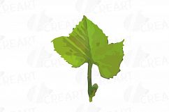 Grapes clip art watercolor wine grape, branch, flowers, leaf Product Image 4