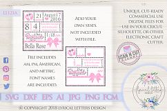 Our Miracle Baby Girl 1 Samuel 1:27 Birth Stats SVG Cutting File LL121A  SVG DXF FCM EPS AI JPG PNG Product Image 1