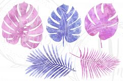 Watercolor Foliage, Purple and Pink Leaves and Branches Product Image 5