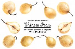 Fresh Chinese Pears by watercolor Product Image 1
