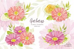 Watercolor set of gerbera flowers Product Image 5