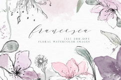 Francesca - Watercolor Floral Elements Product Image 1