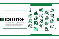 Digestion Disease And Treatment Landing Header Vector Product Image 1