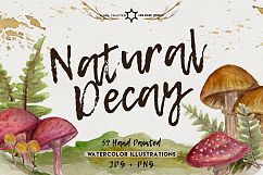 Natural Decay Watercolor Illustrations Product Image 1