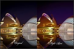 Night and Low Light LUTs Product Image 9