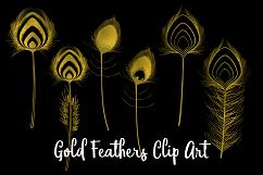 Gold Foil Feather Clip Art, 22 Transparent PNG Files Product Image 3