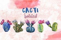 Cool Cacti tropical flower PNG watercolor set Product Image 9