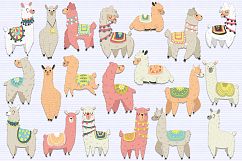 Llamas Product Image 2