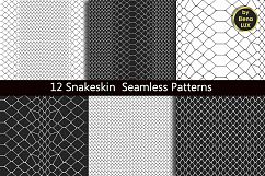 Snakeskin Seamless Patterns Product Image 2