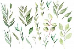 Hand Drawn Watercolor Flowers 64 PNG&amp;VECTOR Product Image 3