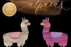 Watercolor Lama &amp; Alpaca Clipart Product Image 2