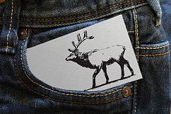 Hand drawn wild Elk Product Image 2