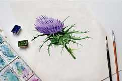 Cool Thistle PNG watercolor set Product Image 8