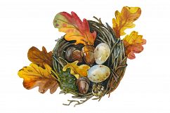 Bird's Nest PNG watercolor set   Product Image 1
